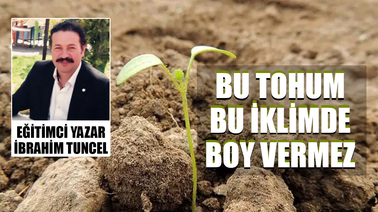 Bu tohum bu iklimde boy vermez
