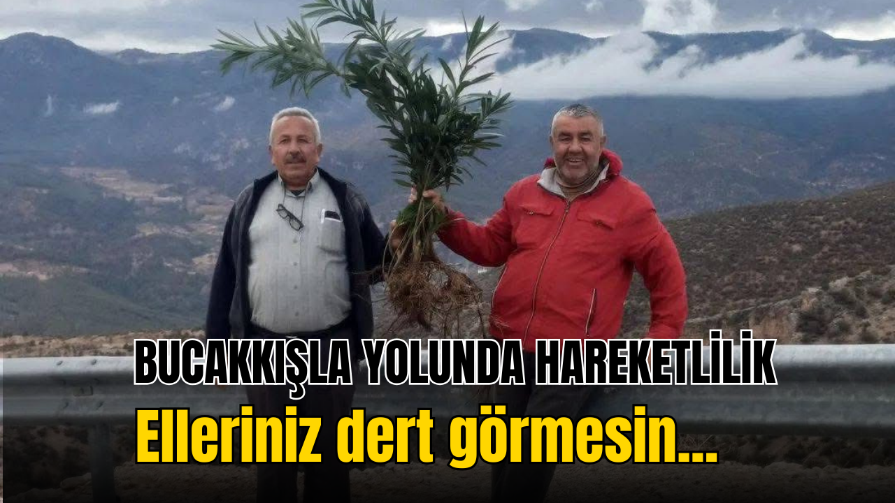 Bucakkışla yolunda hareketlilik