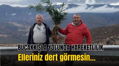 Bucakkışla yolunda hareketlilik