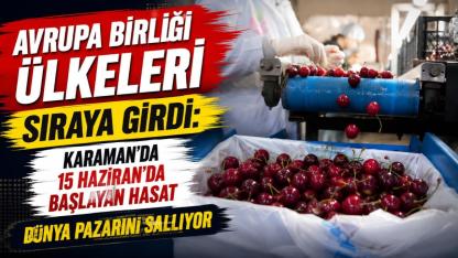 Karaman’da 15 Haziran’da başlayan hasat dünya pazarını sallıyor