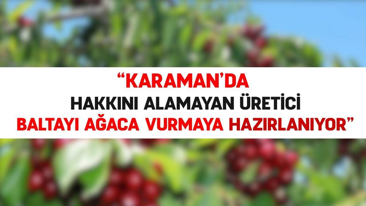 Hakkını alamayan üretici baltayı ağaca vurmaya hazırlanıyor