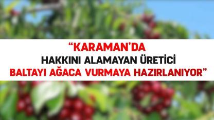 "Hakkını alamayan üretici baltayı ağaca vurmaya hazırlanıyor"