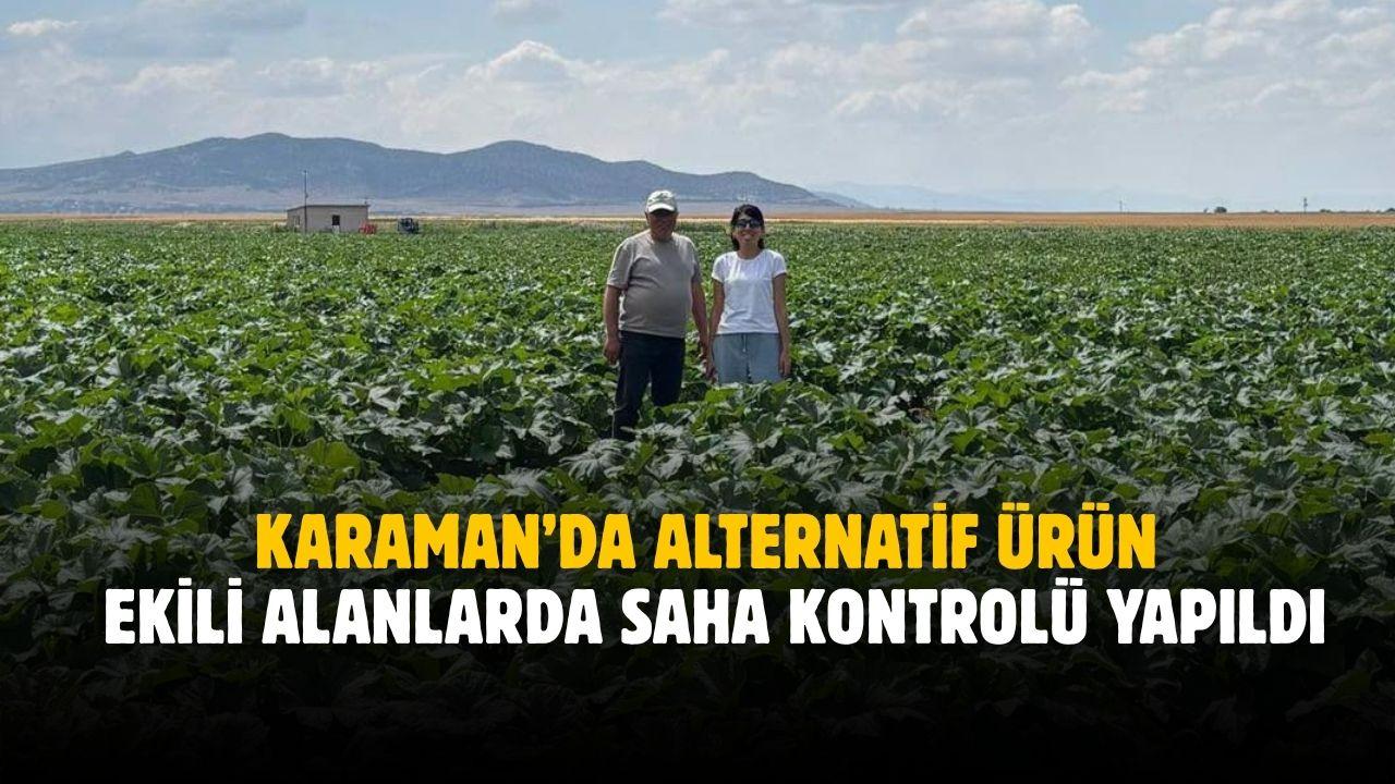 Karaman’da alternatif ürün ekili alanlarda saha kontrolü yapıldı