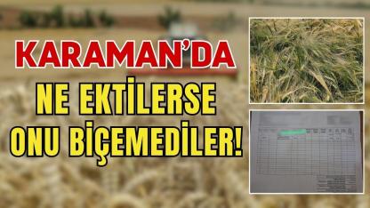 Karaman’da ne ektilerse onu biçemediler!