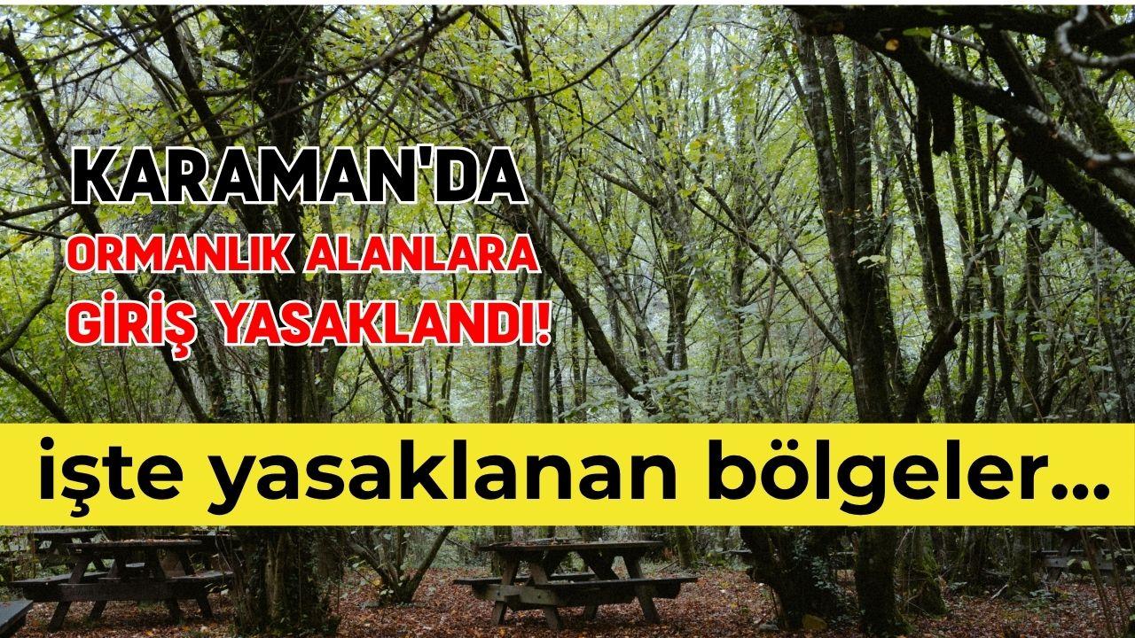 Karaman'da ormanlık alanlara giriş yasaklandı! İşte yasaklanan bölgeler