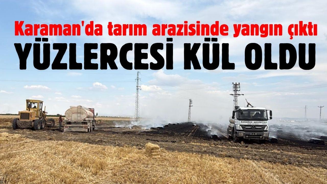 Karaman'da tarım arazisinde yangın çıktı: Yüzlercesi kül oldu
