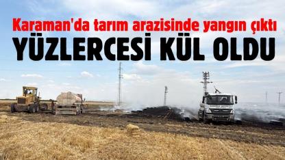 Karaman'da tarım arazisinde yangın çıktı: Yüzlercesi kül oldu