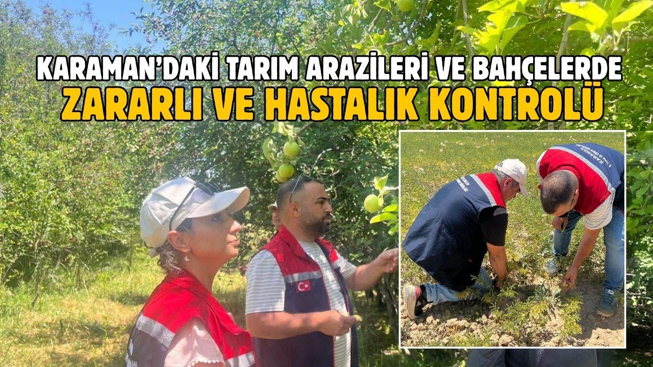 Karaman’daki tarım arazileri ve bahçelerde zararlı ve hastalık kontrolü