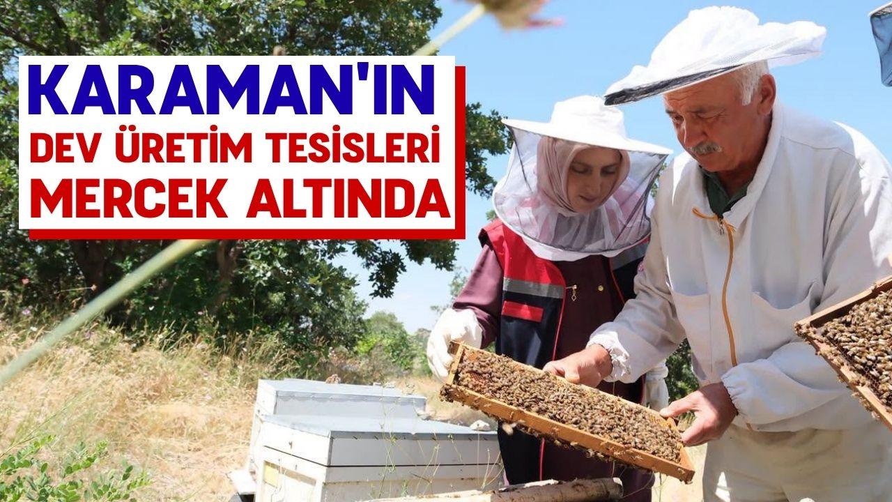 Karaman'ın dev üretim tesisleri mercek altında