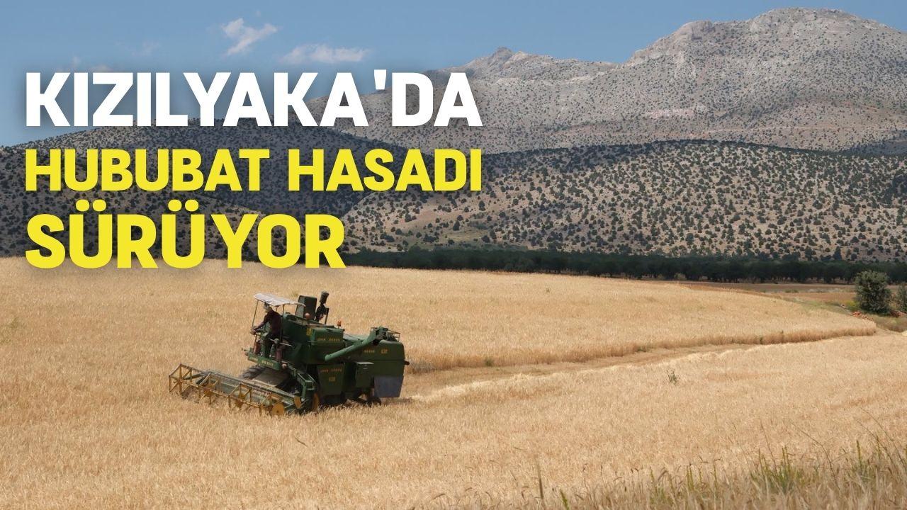 Kızılyaka'da hububat hasadı sürüyor