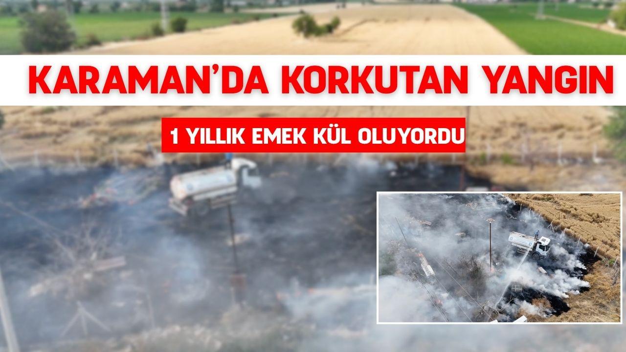 Otomatik Taslak